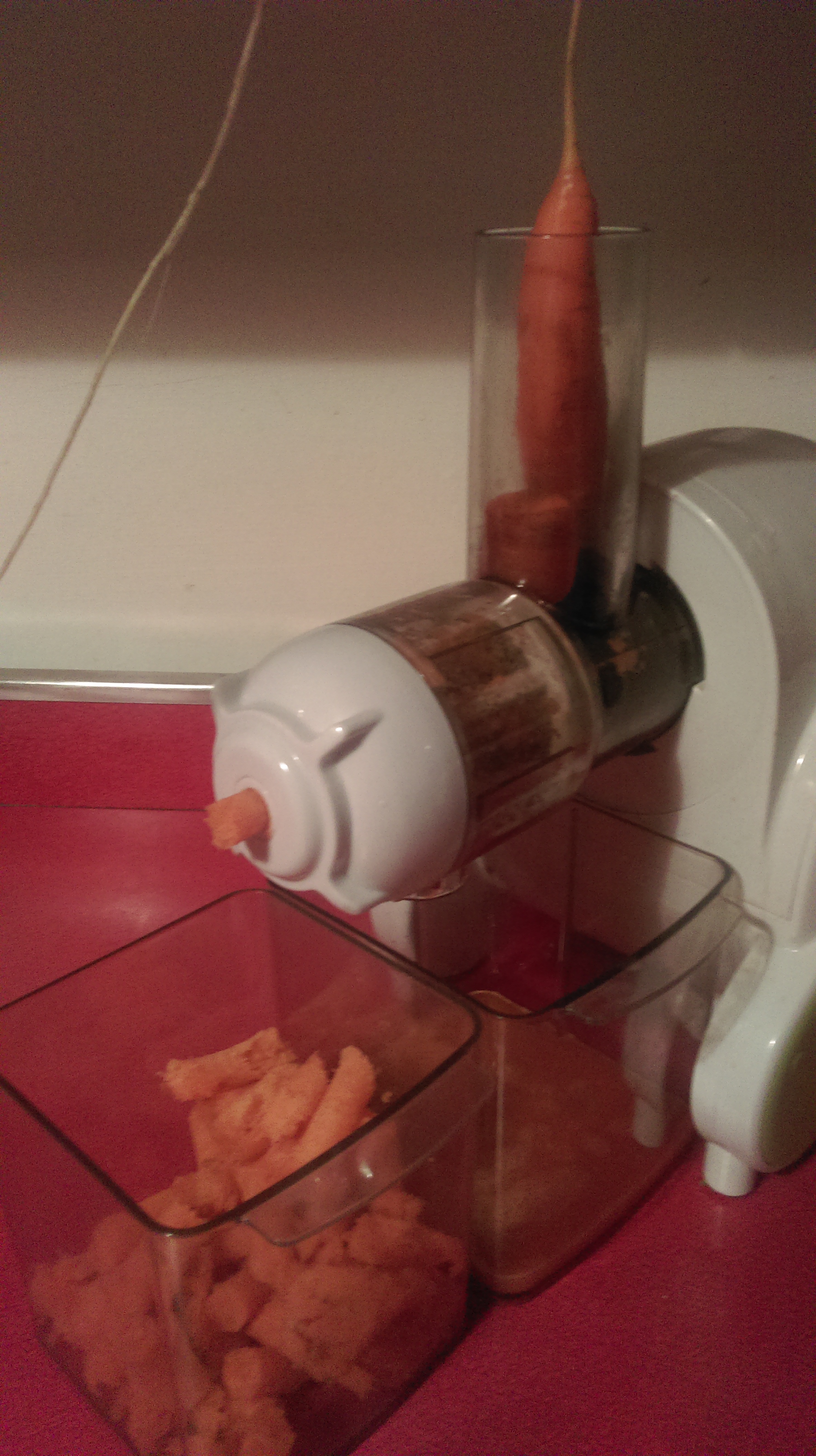 carrots in juicer.jpg