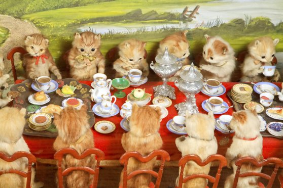 walter_potter_taxidermy_kitten_party