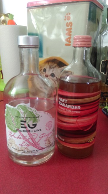 rhubarb_ginger_gin_rhubarb_syrup