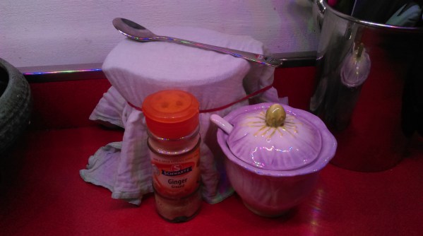 feeding_ginger_beer_plant