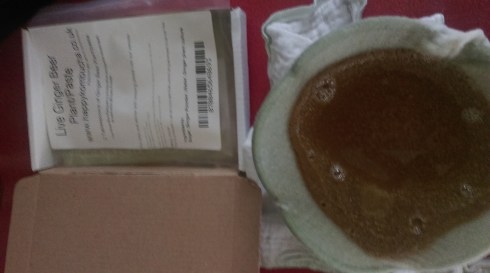 live_ginger_beer_plant_paste