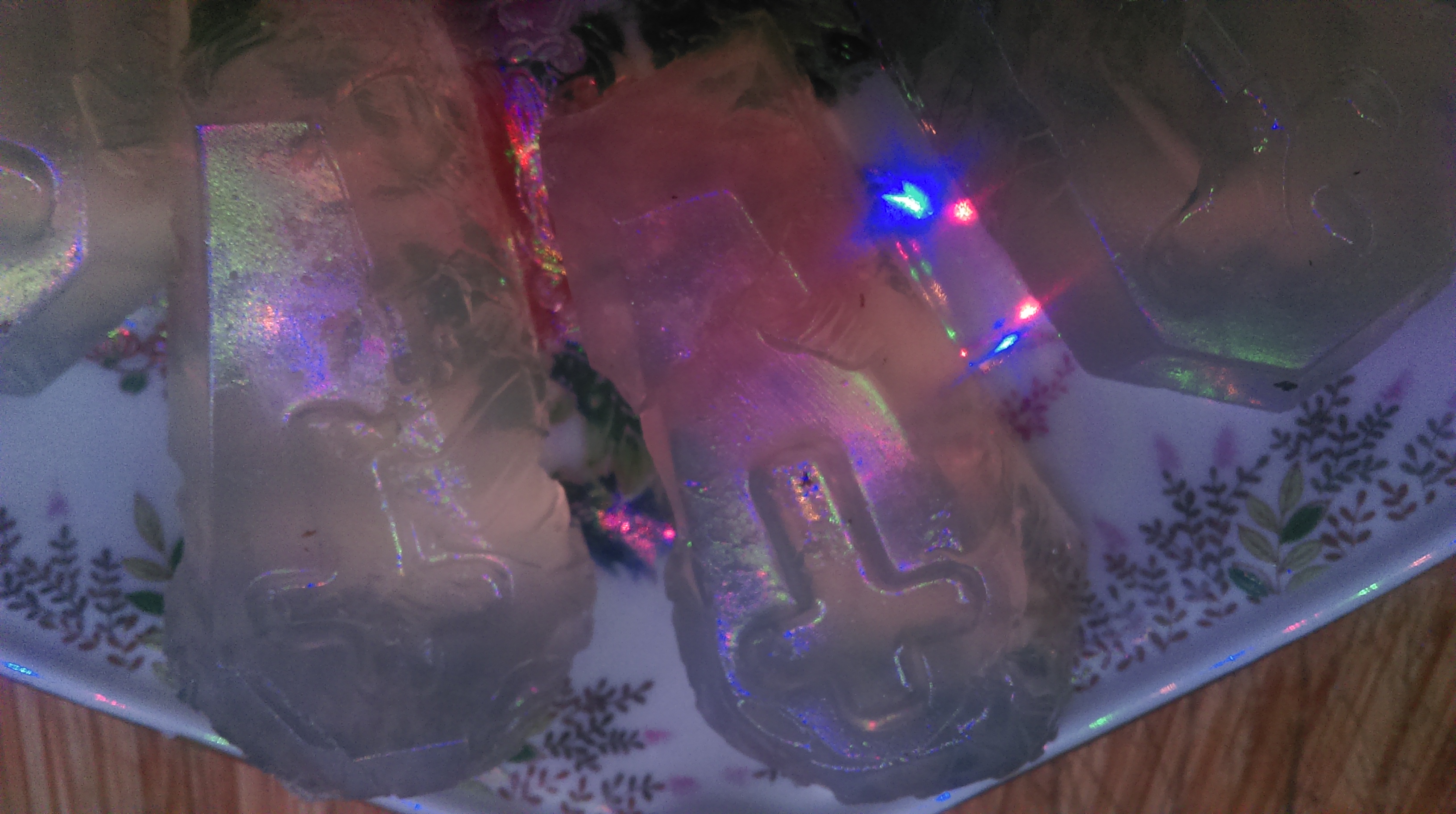 kamikaze_coffin_jellies2