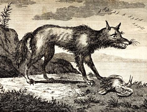 mg21829162-100-1_800