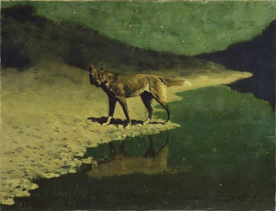 800px-frederic_remington_-_moonlight_wolf