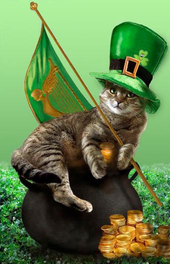 st_patricks_day_cat
