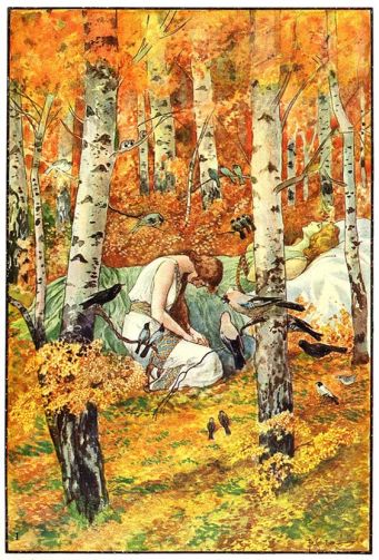 magical_silver_birch_grove