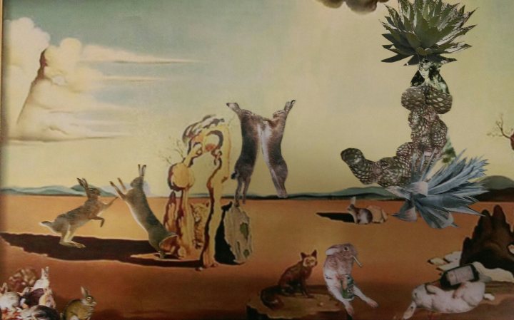 mayatl_mezcal_goddess_drunk_rabbits