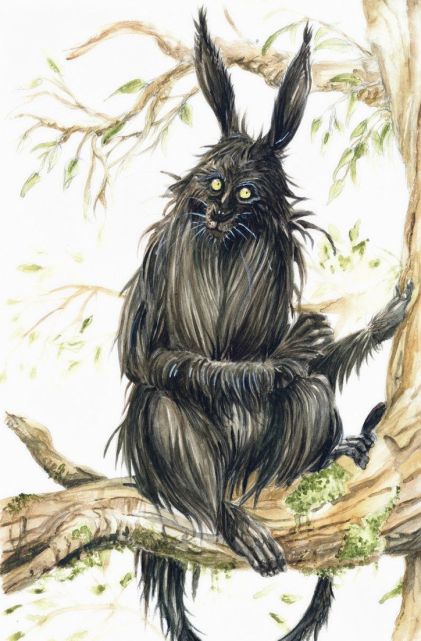pooka
