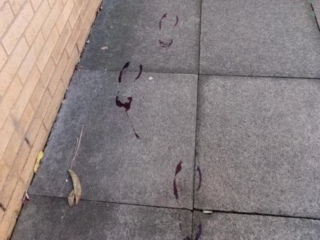 bloody_footprints