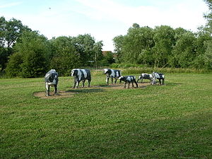 concrete_cows